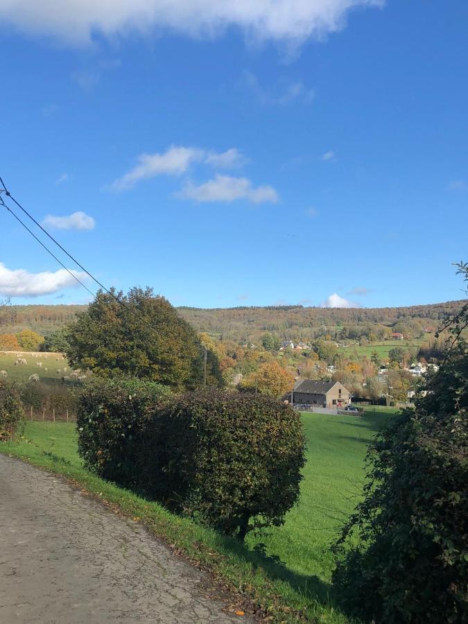 Aan De Watermolen Vakantiewoningen Wijlre Bagian luar foto